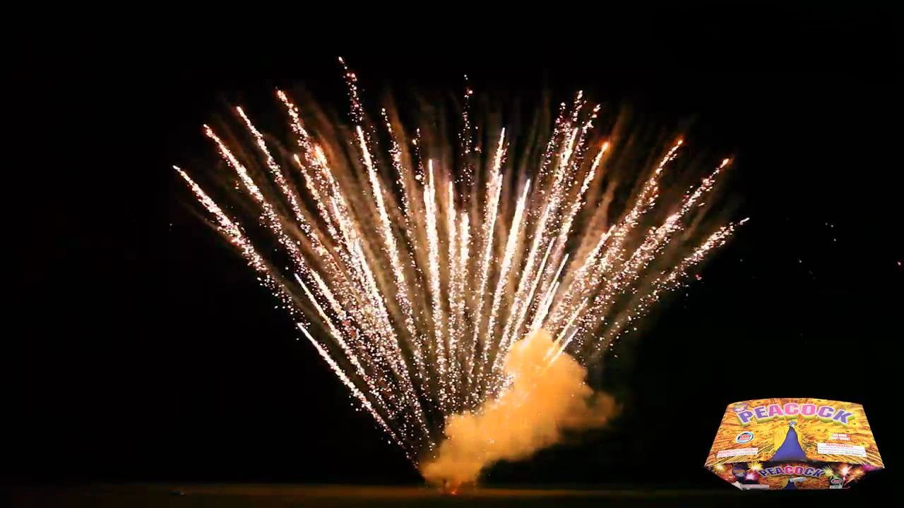 Peacock with white strobe